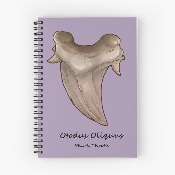 Item preview, Otodus Obliquus shark fossil thooth designed and sold by dinosaphira99.