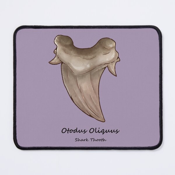 Item preview, Otodus Obliquus shark fossil thooth designed and sold by dinosaphira99.