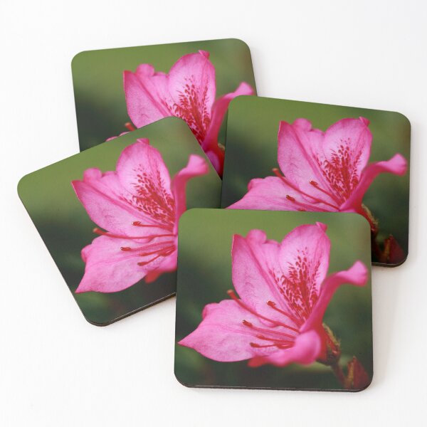 Item preview, Azalea designed and sold by Gaspar Avila.
