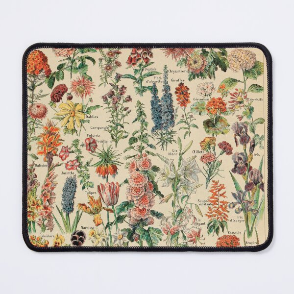 Item preview, Larousse vintage adolphe millot fleurs 1800s designed and sold by AntiqueGallery.
