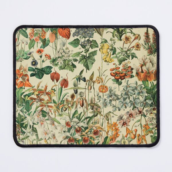 Item preview, dolphe millot fleurs 1800s poster designed and sold by AntiqueGallery.