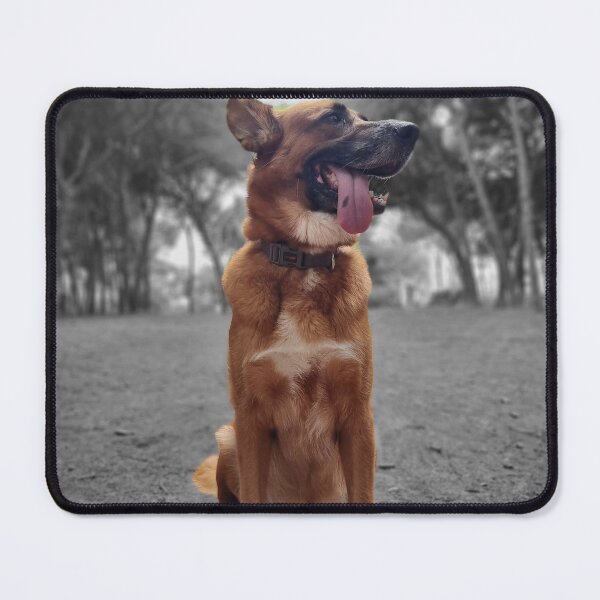 Item preview, Loyal friend in the park designed and sold by Canvas&Pixel.