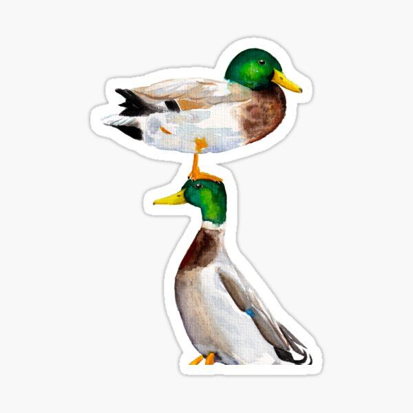 Artikel-Vorschau von Stapel-Enten Aquarellbild, designt und verkauft von EwieEnte.