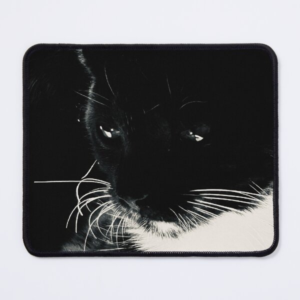 Item preview, Hyper focused kitty designed and sold by KjRyan.