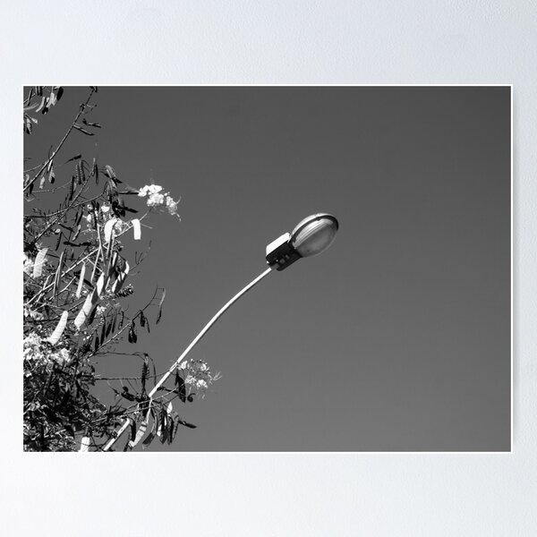 City light pole Poster