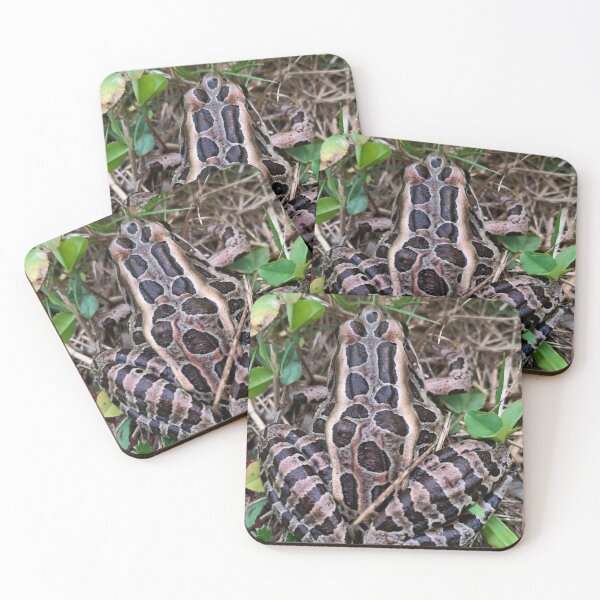Item preview, Pickerel Frog up in Maine designed and sold by MaggieRan26.
