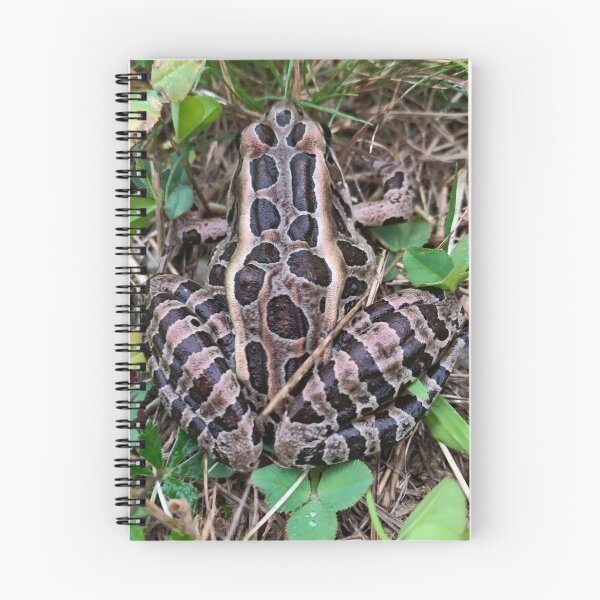 Item preview, Pickerel Frog up in Maine designed and sold by MaggieRan26.