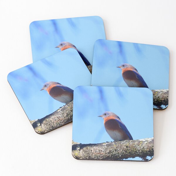Item preview, Eastern Blue Bird designed and sold by Parks and X.