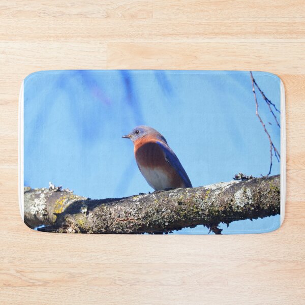 Item preview, Eastern Blue Bird designed and sold by Parks and X.