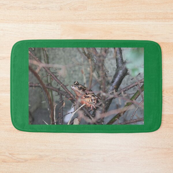 Item preview, frog or toad designed and sold by Emma  Amies.
