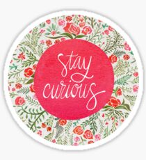 Stay Curious – Pink & Green Sticker