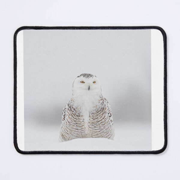 Item preview, Snowy Owl in Snow Squall designed and sold by James Cumming.