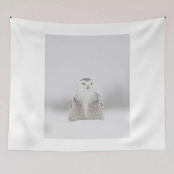 Item preview, Snowy Owl in Snow Squall designed and sold by James Cumming.