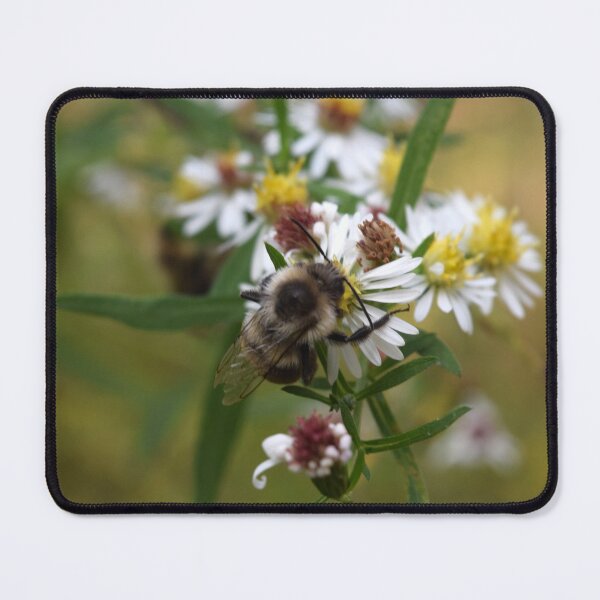 Item preview, Busy Beauty designed and sold by lightfootjpg.
