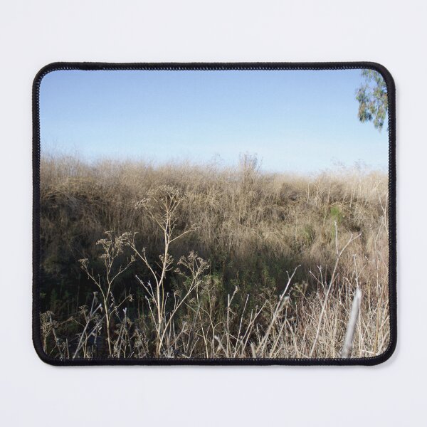Item preview, Winter Shadows and Light designed and sold by Scott K Smith.