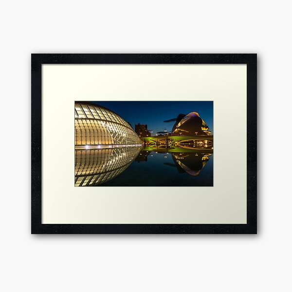 Framed Art Print