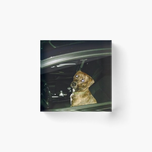Item preview, Driving dog designed and sold by KjRyan.