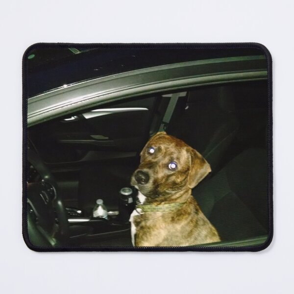 Item preview, Driving dog designed and sold by KjRyan.
