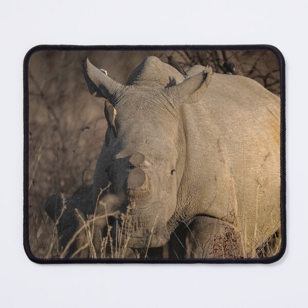 Item preview, White Rhino with Oxpeckers designed and sold by WildlifewithTom.
