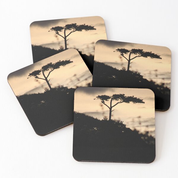 Item preview, Buttermilk sunset with plant  designed and sold by Emma  Amies.