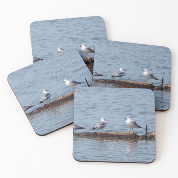 Item preview, Gulls Resting On a Rock In The Water designed and sold by BackyardBirder.