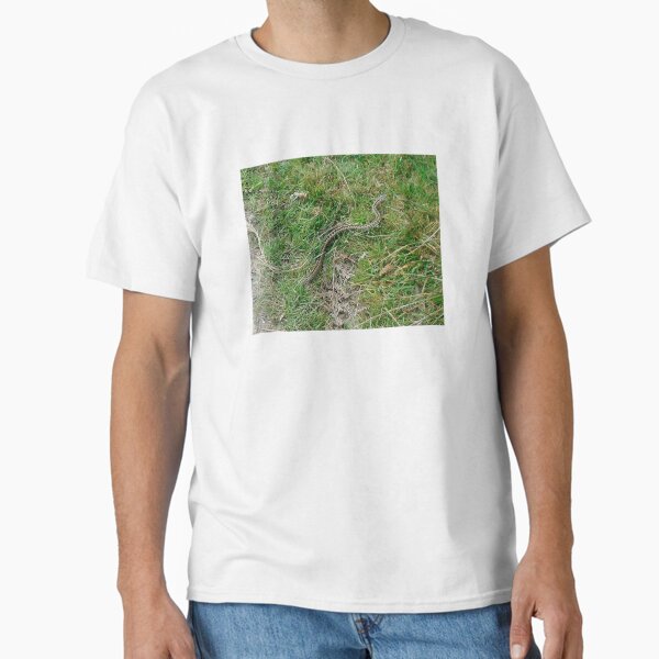 Item preview, Adder at Ashdown Forest  designed and sold by Emma  Amies.