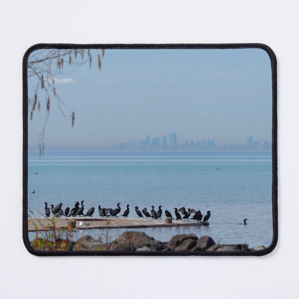 Item preview, Cormorants and a View Of Toronto Ontario designed and sold by BackyardBirder.