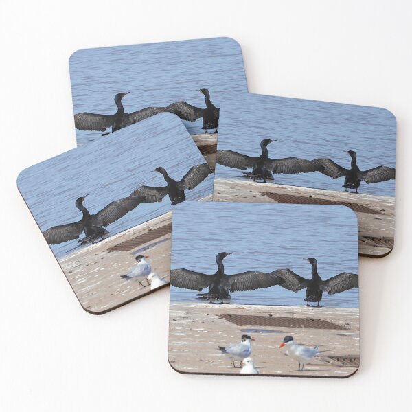 Item preview, Cormorants With Their Wings Stretched designed and sold by BackyardBirder.