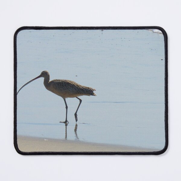 Item preview, Beach birds designed and sold by Ally Lukehart-Hamil.