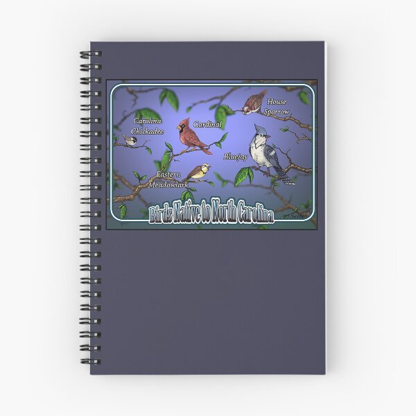 Item preview, Birds Native to North Carolina designed and sold by Moondog Seitz.