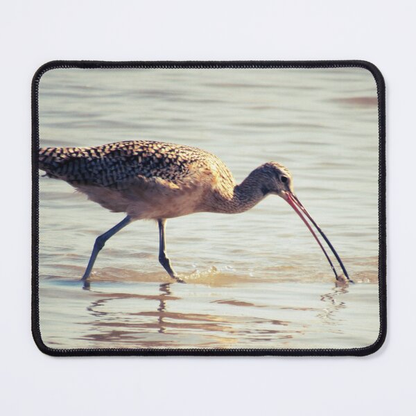Item preview, Water bird designed and sold by Ally Lukehart-Hamil.