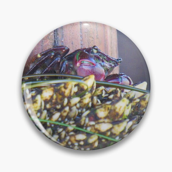Item preview, Crab designed and sold by Ally Lukehart-Hamil.