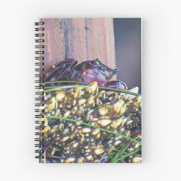Item preview, Crab designed and sold by Ally Lukehart-Hamil.