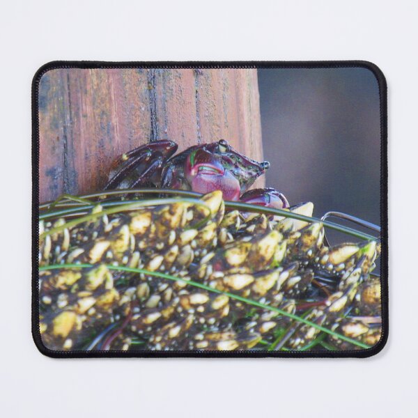 Item preview, Crab designed and sold by Ally Lukehart-Hamil.
