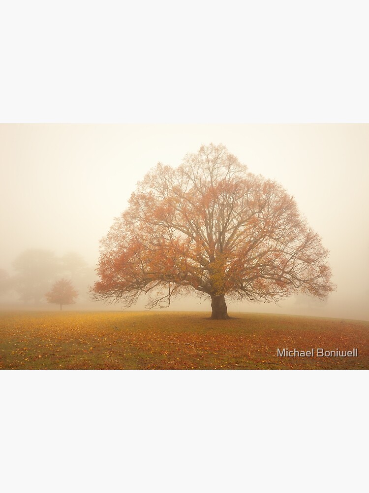 Thumbnail 2 of 2, Postcard, Autumn Fog, Daylesford, Australia designed and sold by Chockstone.