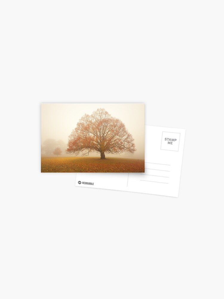 Thumbnail 1 of 2, Postcard, Autumn Fog, Daylesford, Australia designed and sold by Chockstone.
