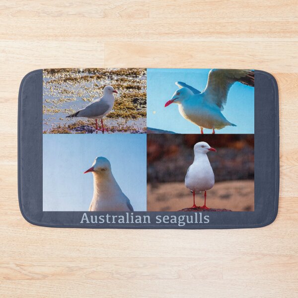 Item preview, Australian Seagulls designed and sold by jdrphotos.
