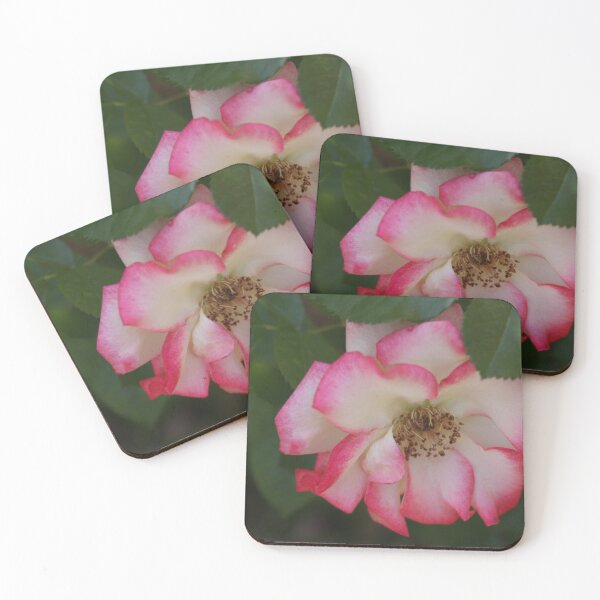 Item preview, One Lovely Wild Rose designed and sold by CarolM.