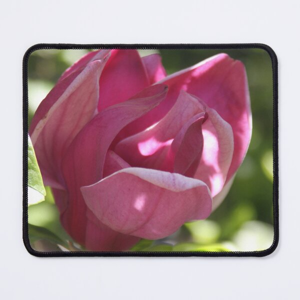 Item preview, Gorgeous magnolia designed and sold by agnessa38.