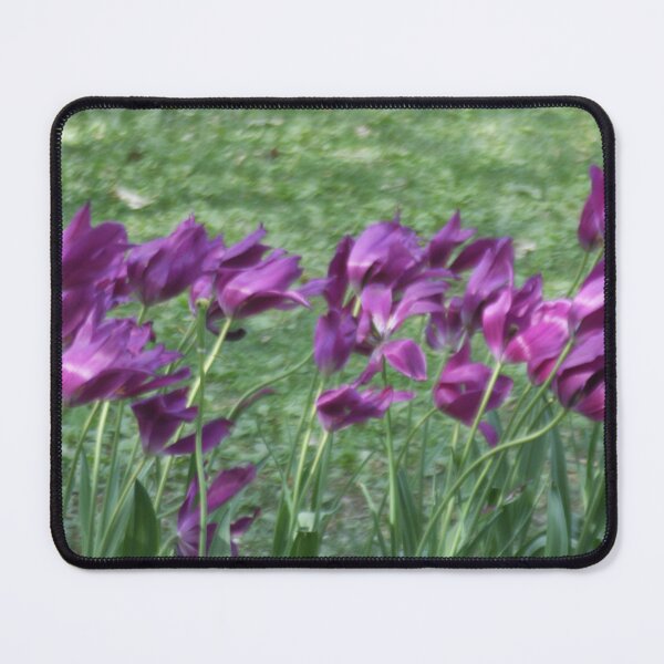 Item preview, Windy designed and sold by agnessa38.