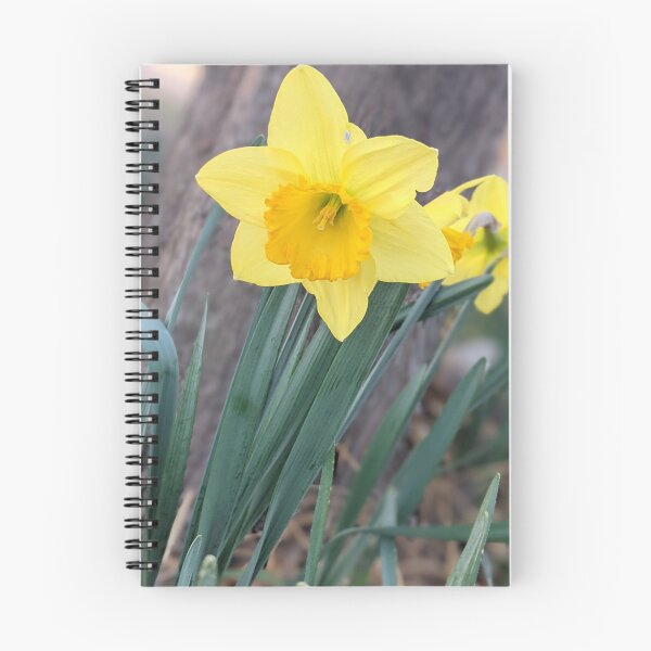 Item preview, Sunny daffodil designed and sold by Sky-Sailor-Shop.