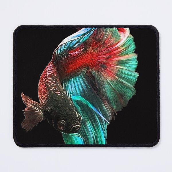 Item preview, Beautiful Guppy fish Fancy Guppies Thai fighting fish, beautiful fish, guppies designed and sold by Bspaces.