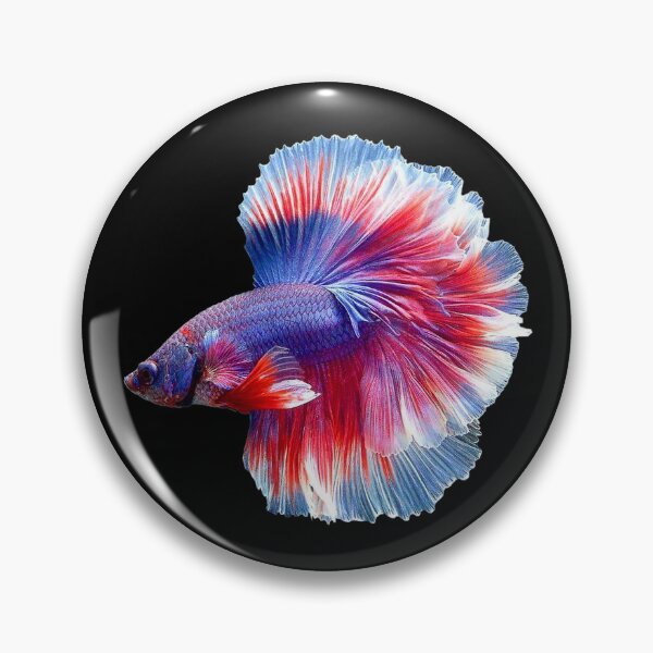 Item preview, A Beautiful Guppy fish Fancy Guppies Thai fighting fish, beautiful fish, guppies designed and sold by Bspaces.