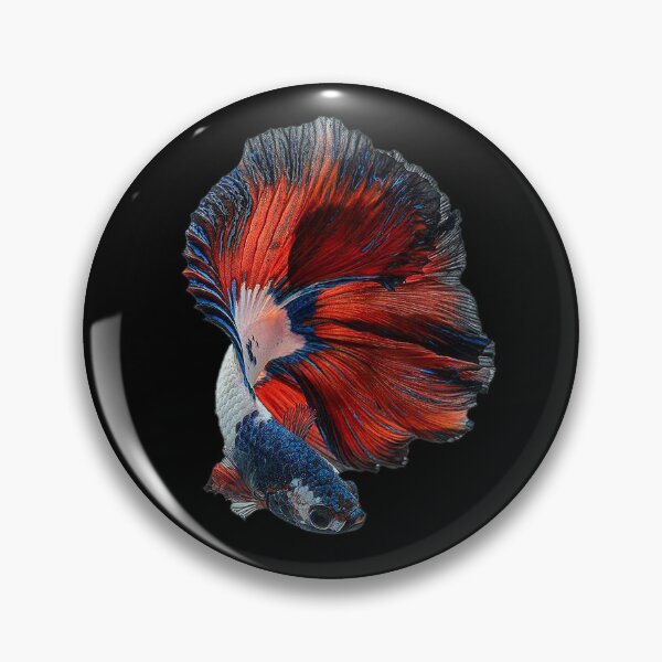 Item preview, A Beautiful Guppy fish Fancy Guppies Thai fighting fish, beautiful fish, guppies designed and sold by Bspaces.