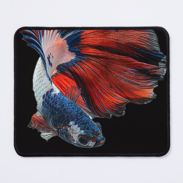Item preview, A Beautiful Guppy fish Fancy Guppies Thai fighting fish, beautiful fish, guppies designed and sold by Bspaces.