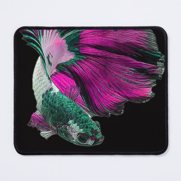 Item preview, A Beautiful Green Pink Guppy fish Fancy Guppies Thai fighting fish, beautiful fish, guppies designed and sold by Bspaces.