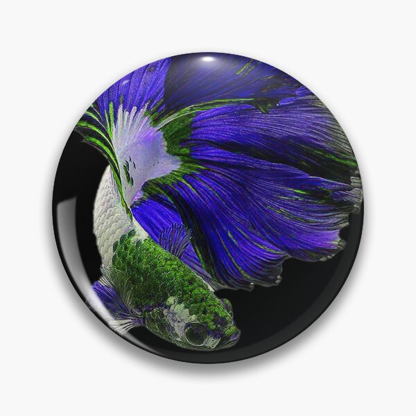Item preview, A Beautiful Puple Green  Guppy fish Fancy Guppies Thai fighting fish, beautiful fish, guppies designed and sold by Bspaces.