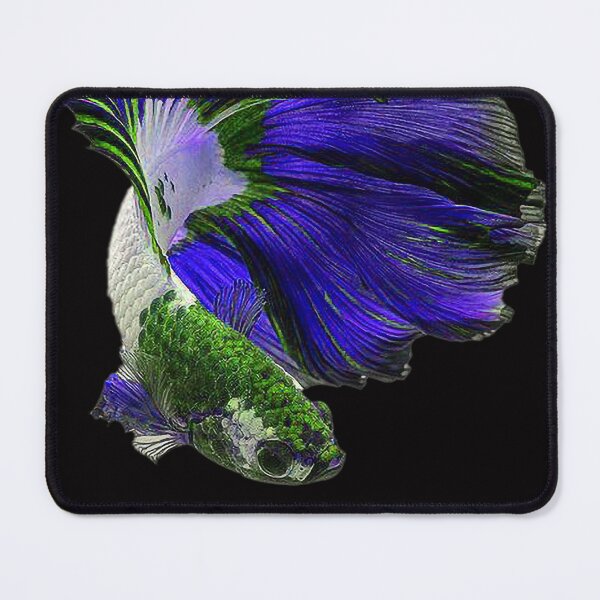 Item preview, A Beautiful Puple Green Guppy fish Fancy Guppies Thai fighting fish, beautiful fish, guppies designed and sold by Bspaces.