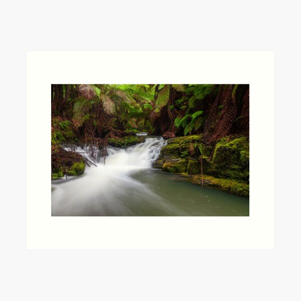 Item preview, Otways River Scene designed and sold by timmyvincent.