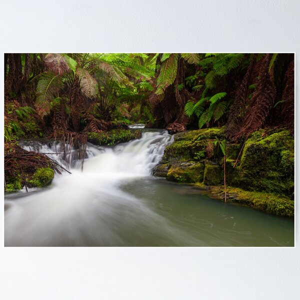 Item preview, Otways River Scene designed and sold by timmyvincent.